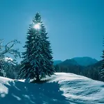 Oberstbergmeisteramt * Obervellach