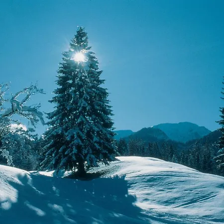 Oberstbergmeisteramt * Obervellach (Spittal an der Drau)
