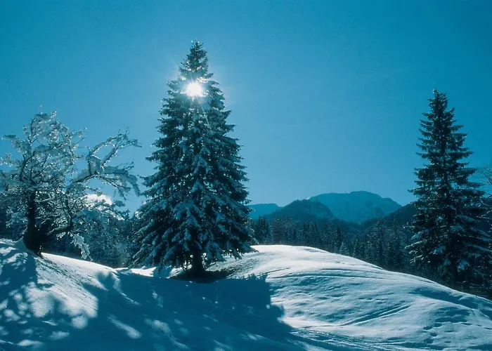 Ferienappartements Oberstbergmeisteramt * Obervellach